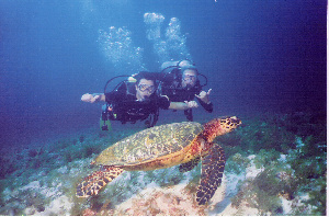 Abrolhos