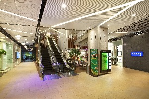 Popular Wallpaper Tags