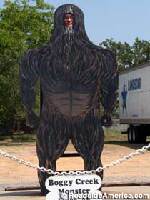 Boggy Creek Monster