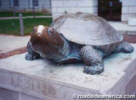 Testudo the Turtle