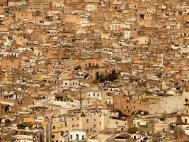 Welcome to Fes House Rental