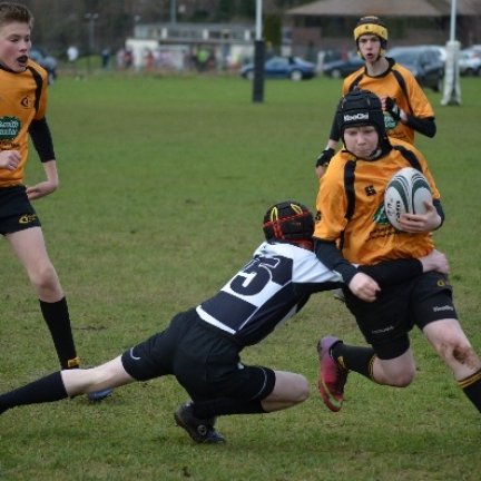 Camberley Rugby Football Club