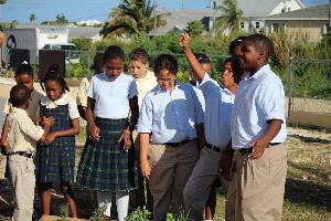 FBCS and WEE Care