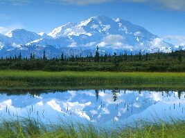 Denali National Park United States Tour