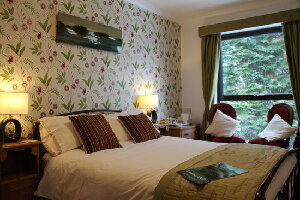 Welcome to Meadfoot Guesthouse