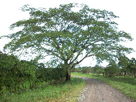 Pedasi Panama Spa