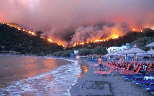 Chios Greece Forest