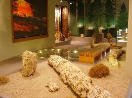 Lesbos Greece Museum