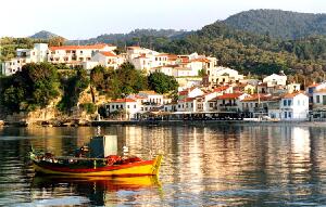 Turco Travel Day Tours