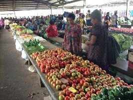 Papua New Guinea Market