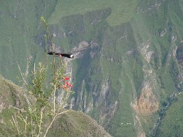 Peru Dream Travel - Day Tours