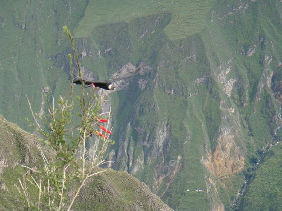 Peru Dream Travel - Day Tours