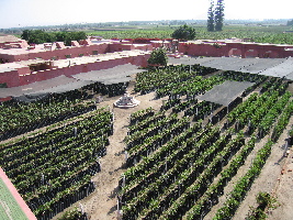 Tacama