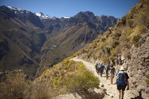 Colca Trek Day Tours