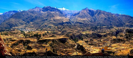 Nature Tours Peru - Day Tours