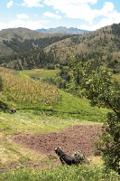 Ascend Adventure Travel Day Tours