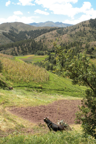 Ascend Adventure Travel Day Tours