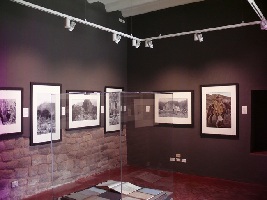 Casa Concha Museum