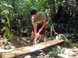 Amazon Explorer - Day Tour