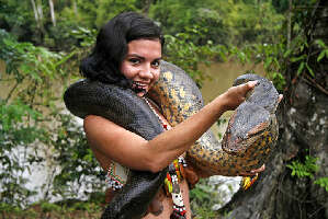 Amazon Golden Snake