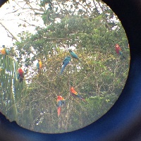 Peru Sanctuary