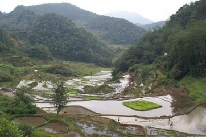 Bicol Region Philippines Farm