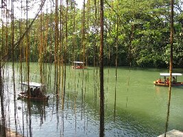 Central Luzon Region Philippines Eco Park