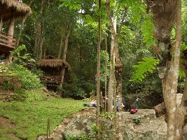 Bukidnon Province Philippines Nature Park