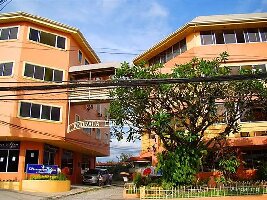 Old Enchanted Balete Tree