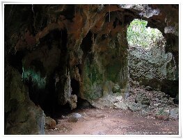 Bat Caves
