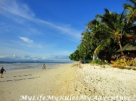 Bohol Province Philippines Beach