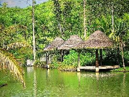 Samar Island Philippines Farm