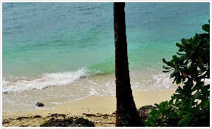 Cebu Island Philippines Beach