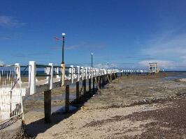 Cebu Island Philippines Walk
