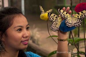 Cebu Island Philippines Sanctuary