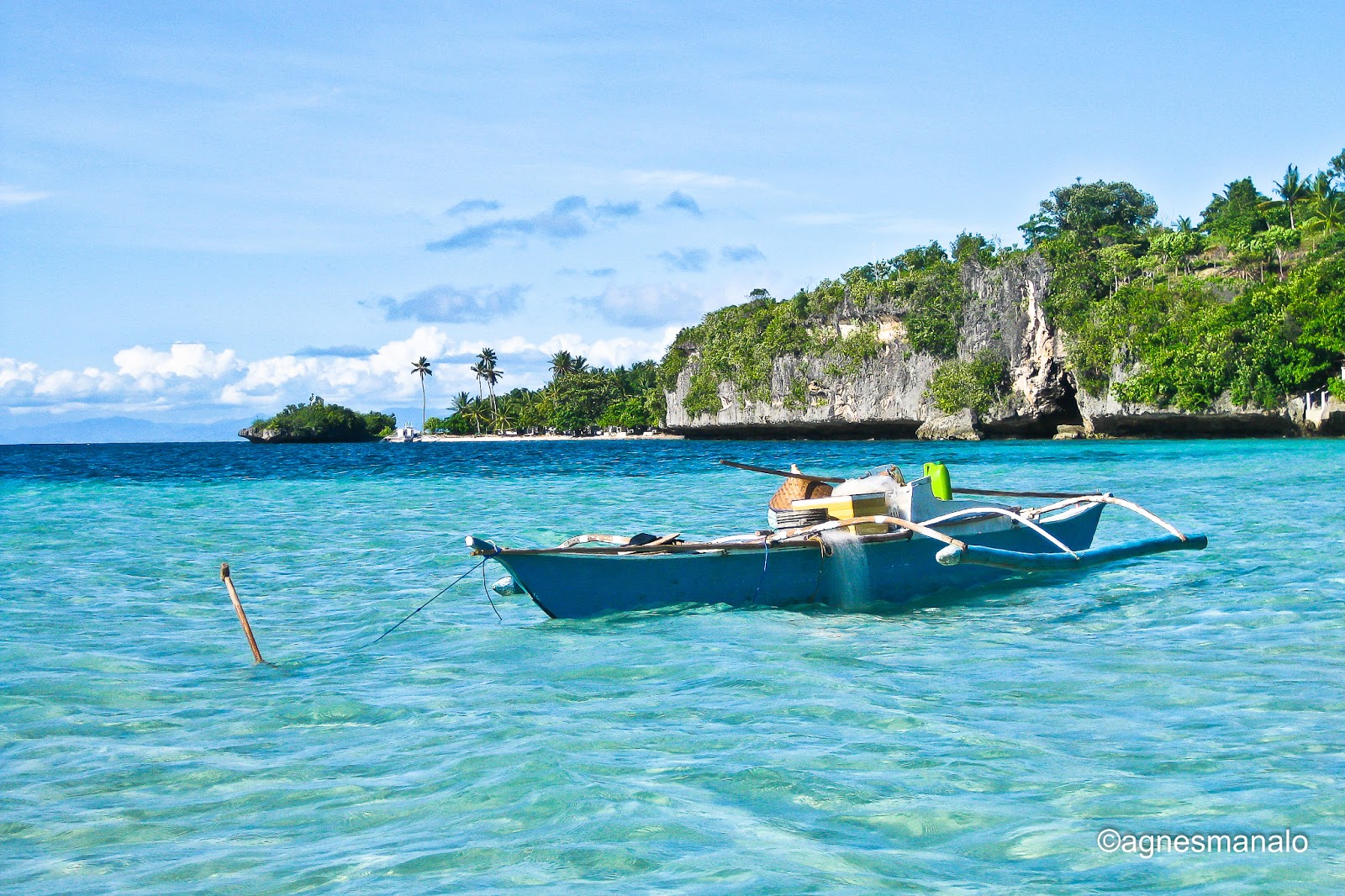 Cebu Tours