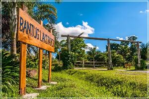 Guimaras Island Philippines Lake