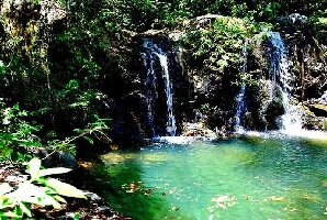Palawan Province Philippines Waterfall