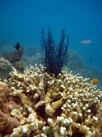 Romblon Province Philippines Resort