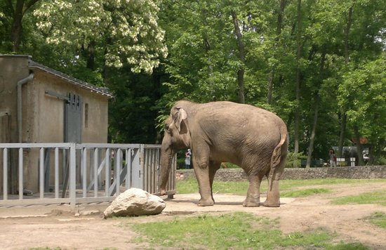 Lodz Zoo