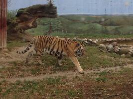 Lublin Province Poland Zoo