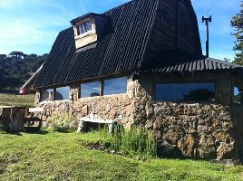 Huskys de los Pehuenes
