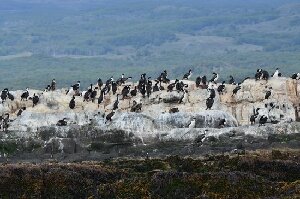 Canal Fun and Nature