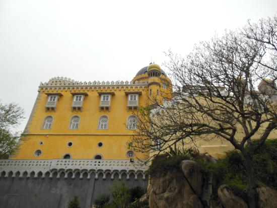Tours for You - Day Tours