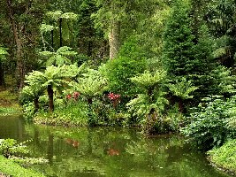 Sao Miguel Portugal Garden