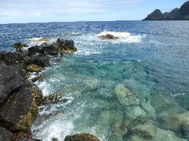 AzorSea Adventures