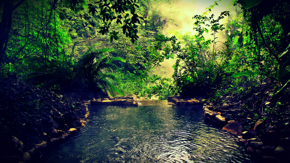 Luna Jaguar Spa Resort