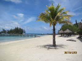 Palm Beach Roatan