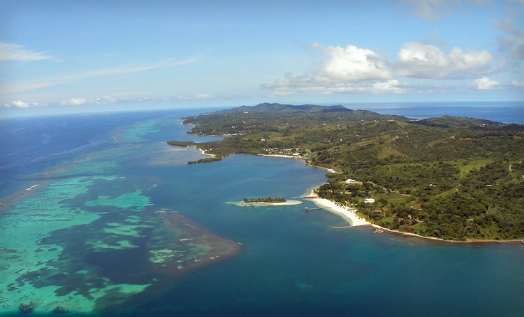 Reef and Jungle