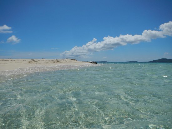 Roatan Alexander Tour- Day Tours